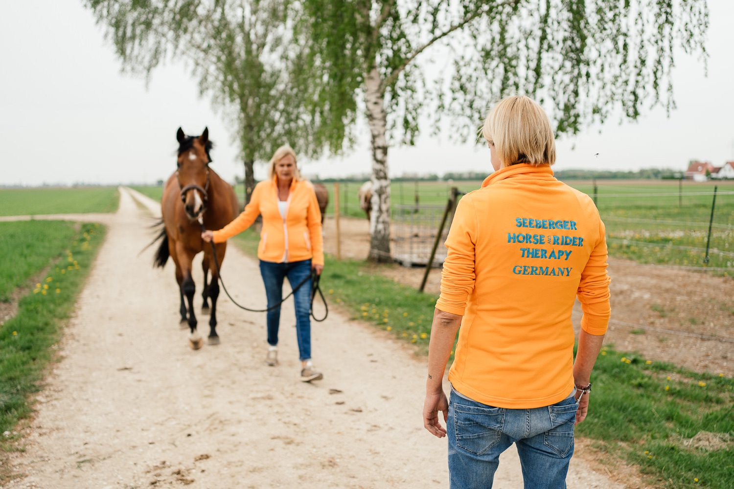 Seeberger Horse and Rider Therapy